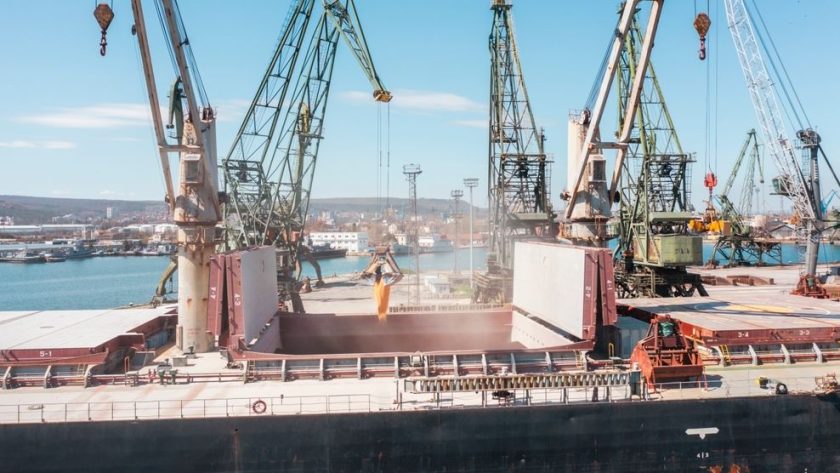 BIMCO: Ukraine's dry bulk exports will likely fall in 2025